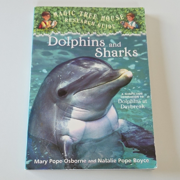 Children's Shark and Pirate Book Set Bundle - Picture 5 of 16